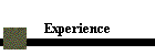 Experience